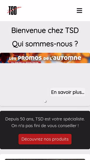 Screenshot of tsd.eu