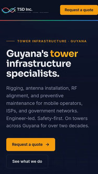 Screenshot of tsd.gy