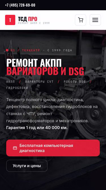 Screenshot of tsd.pro