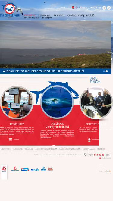 Screenshot of tsm.com.tr