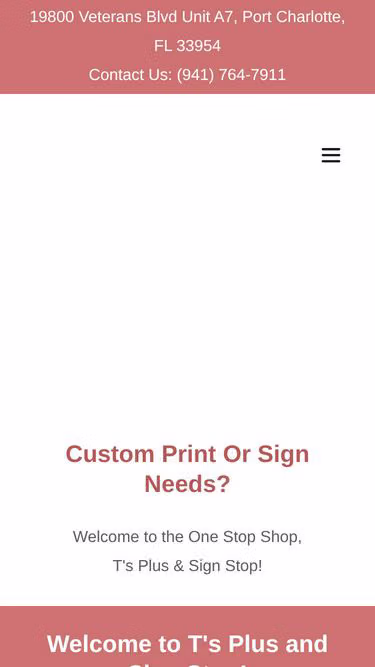 Screenshot of tsplus.com