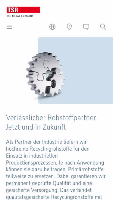 Screenshot of tsr.info