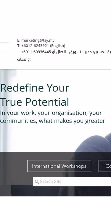 Screenshot of tsy.my