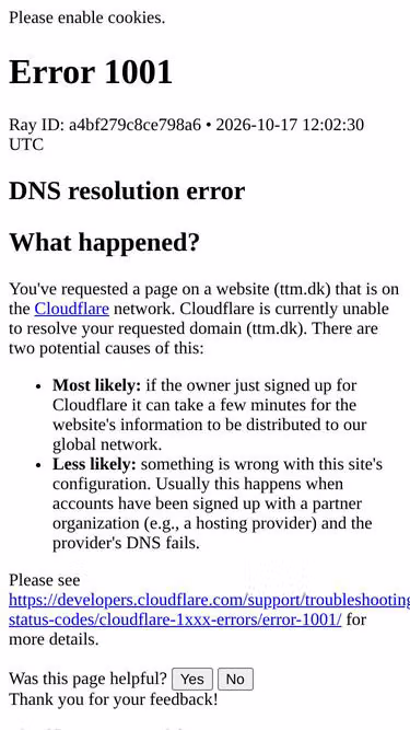 Screenshot of ttm.dk