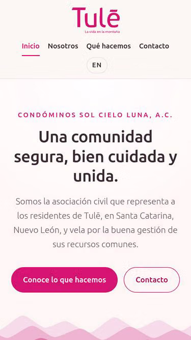 Screenshot of tule.com.mx