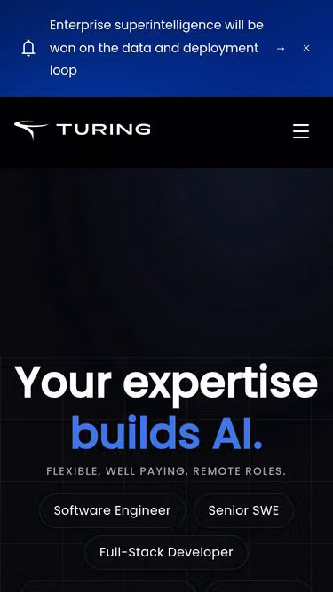 Screenshot of turing.im