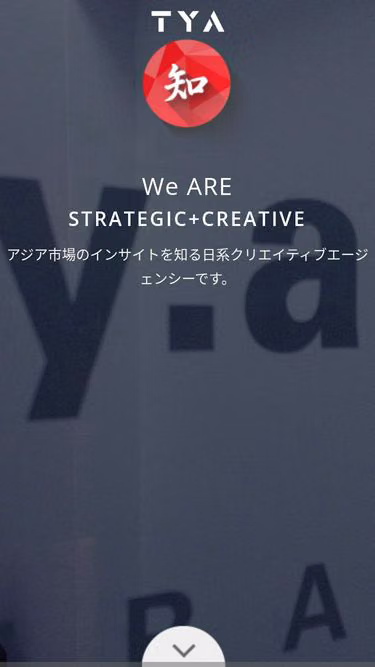 Screenshot of tya.com.sg