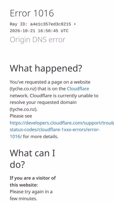 Screenshot of tyche.co.nz