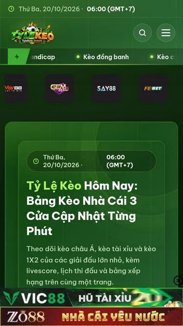 Screenshot of tylekeo.com.co