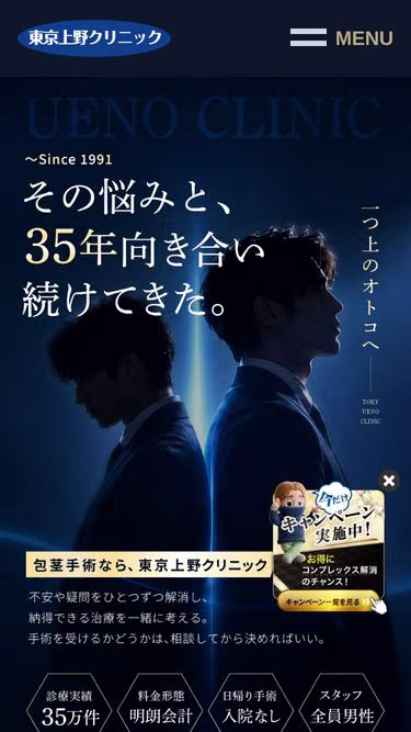 Screenshot of ueno.co.jp