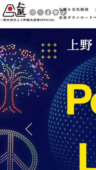 Screenshot of ueno.or.jp