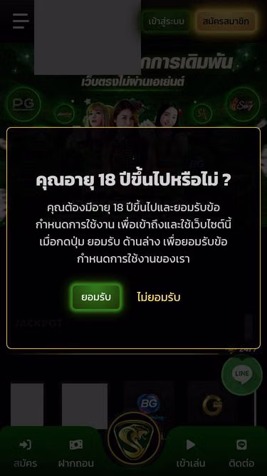 Screenshot of ufasnake.com