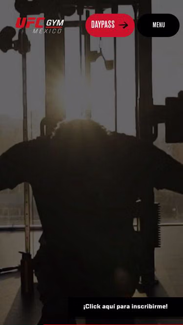 Screenshot of ufcgym.mx
