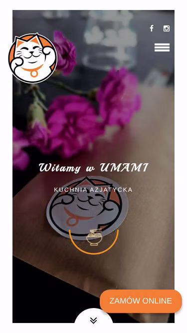 Screenshot of umami.rzeszow.pl