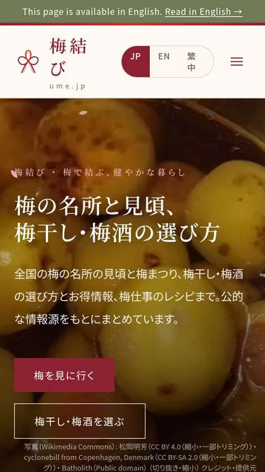 Screenshot of ume.jp