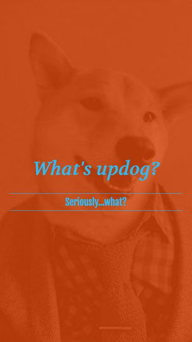 Screenshot of updog.ca