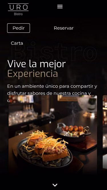Screenshot of uro.cl