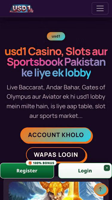Screenshot of usd1.pro
