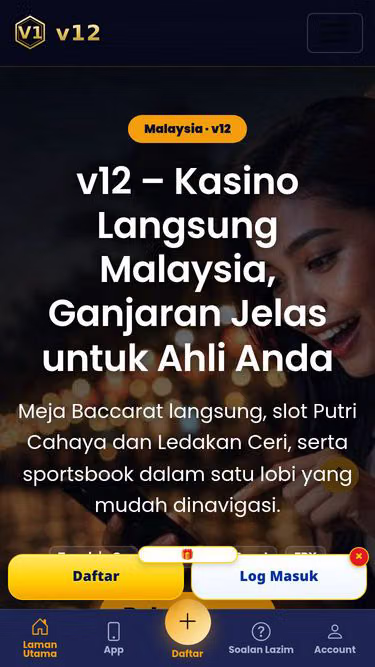 Screenshot of v12.my