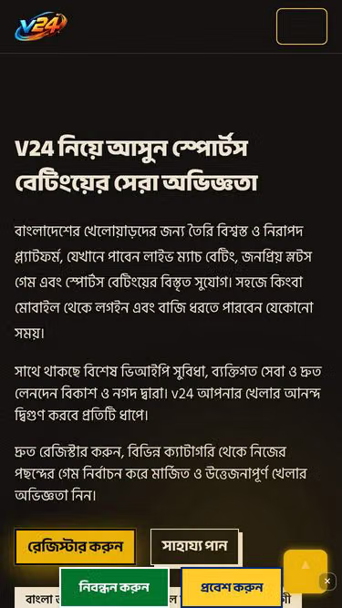 Screenshot of v24.pro