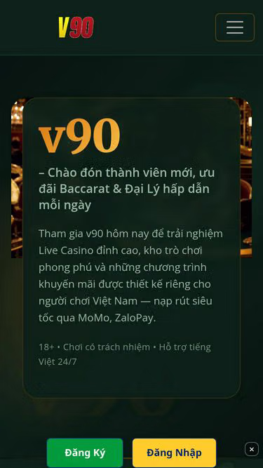 Screenshot of v90.cam