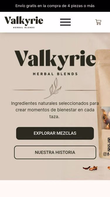 Screenshot of valkyrie.mx