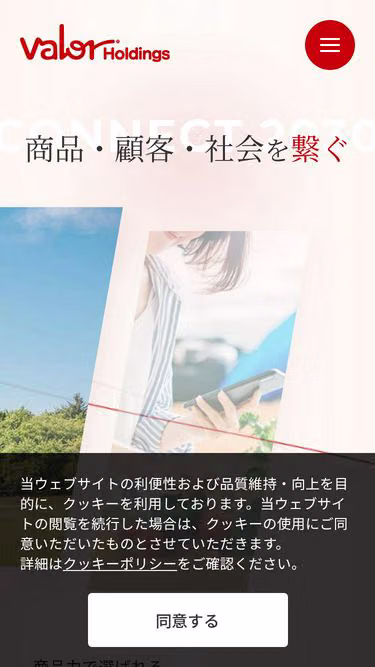 Screenshot of valor.co.jp