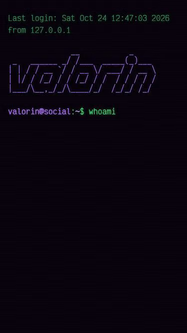Screenshot of valorin.social