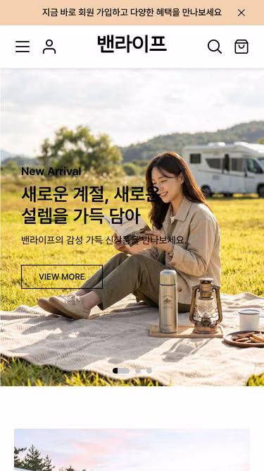 Screenshot of vanlife.co.kr