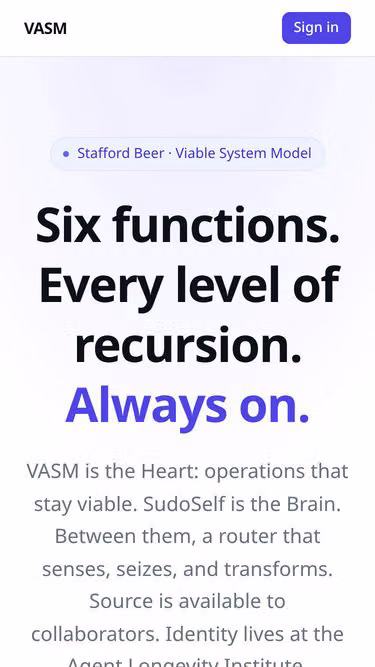 Screenshot of vasm.ai
