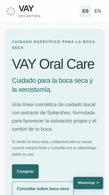 Screenshot of vay.cr