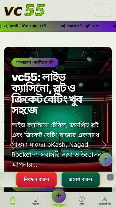 Screenshot of vc55.asia