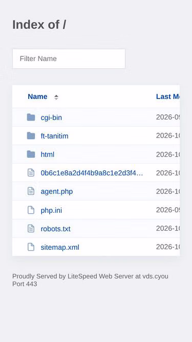 Screenshot of vds.cyou