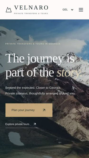 Screenshot of velnaro.ge
