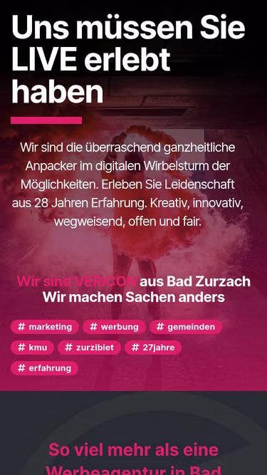Screenshot of vericon.ch