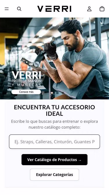 Screenshot of verri.mx