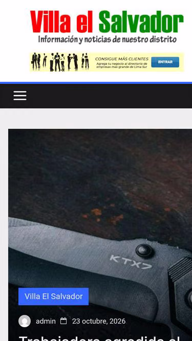 Screenshot of ves.org.pe