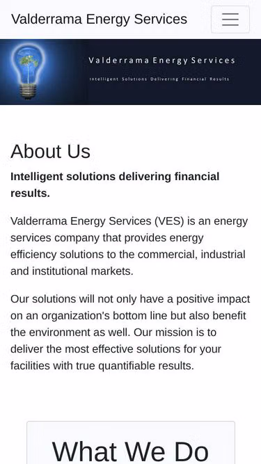 Screenshot of ves.us