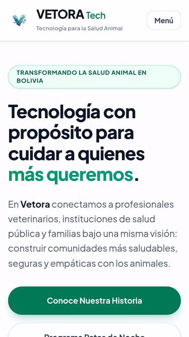 Screenshot of vetora.online