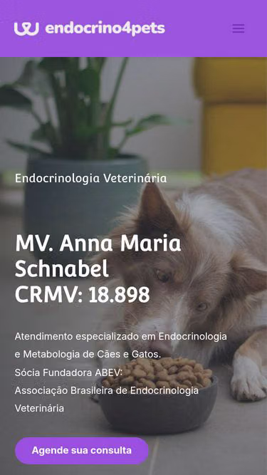 Screenshot of vets4pets.com.br
