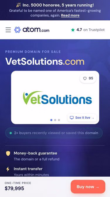Screenshot of vetsolutions.com