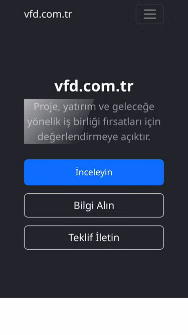 Screenshot of vfd.com.tr