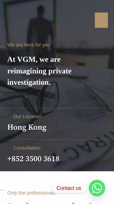 Screenshot of vgm.com.hk