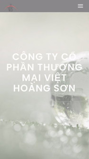 Screenshot of vhs.vn