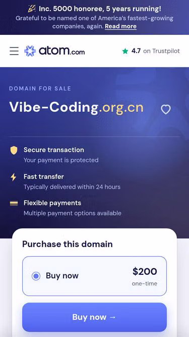 Screenshot of vibe-coding.org.cn