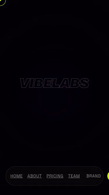 Screenshot of vibelabs.vc