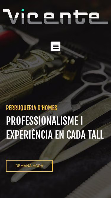 Screenshot of vicente.cat