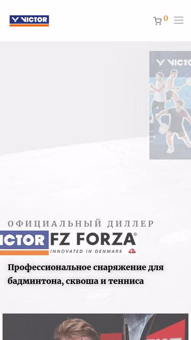 Screenshot of victor.by
