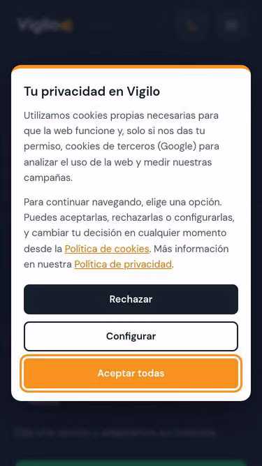 Screenshot of vigilo.com.mx
