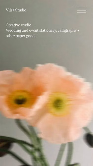 Screenshot of vilsa.studio